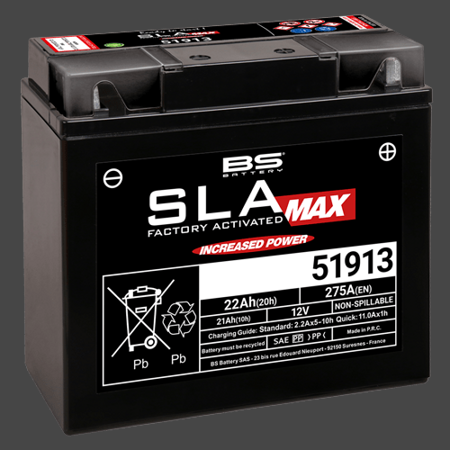 51913  MAX