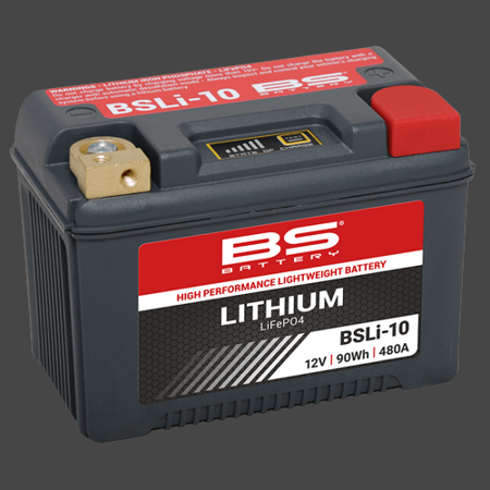 BSLI-10
