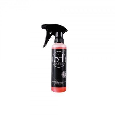 Glass Cleaner (ready-to-use) 250 ml